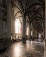 Mann betend in der St. Johannis-Kathedrale - Den Bosch
