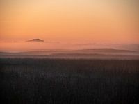 Brume du soir sur le Hoge Veluwe