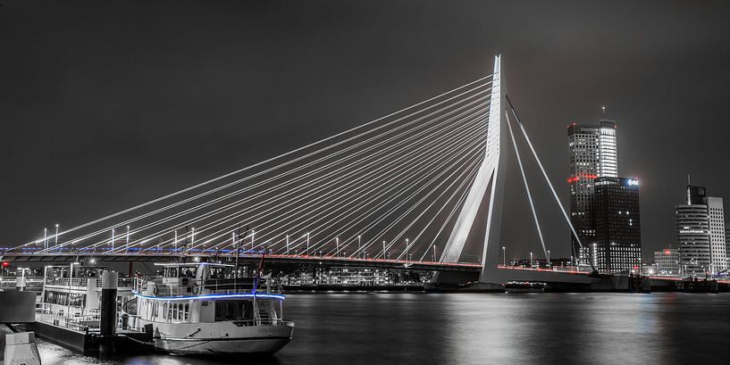 Rotterdam Erasmusbrug von John Ouwens