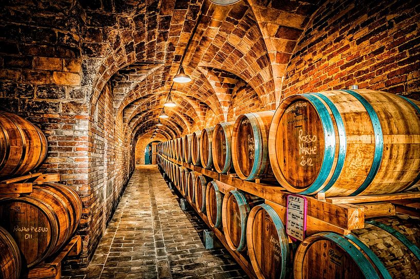 Der Weinkeller von Frans Scherpenisse