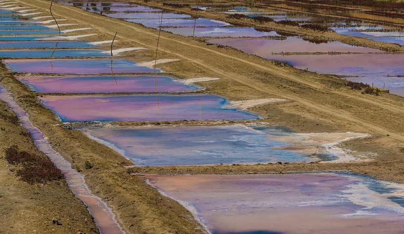 0668 Ile de Ré par Adrien Hendrickx