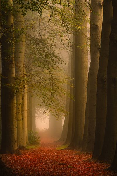 Den Treek by Gerard Glavimans