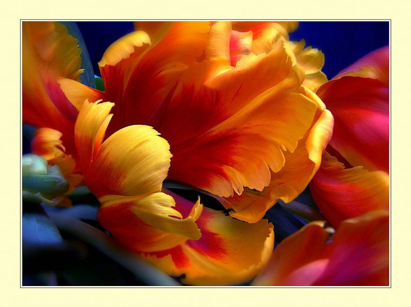 Simple blossom #17 von Lizzy Pe