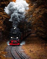 Harz-Duisland-Dampfzug Herbst
