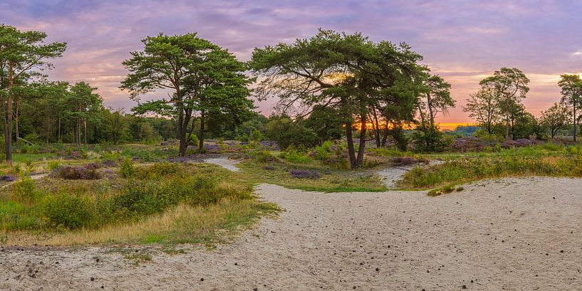 Panorama et lever de soleil dans les dunes de Bakkeveen par Henk Meijer Photography