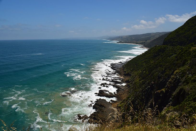Great Ocean Road autorit in het zuiden van Australië by Bianca Bianca