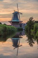 Mühle "Der Goldene Engel" in der Abendsonne