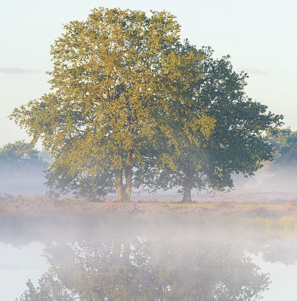 Sunrise Terhorsterzand (Netherlands) by Marcel Kerdijk