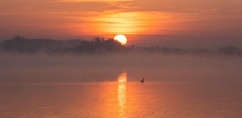 Sonnenaufgang am See 3. von Bart Ceuppens