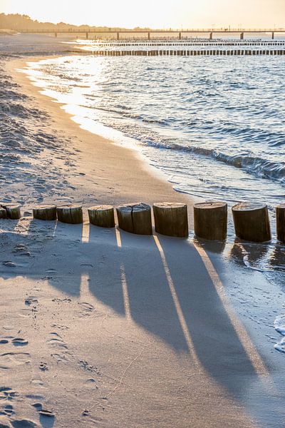 grognements sur la plage de Zingst, en mer Baltique par Christian Müringer