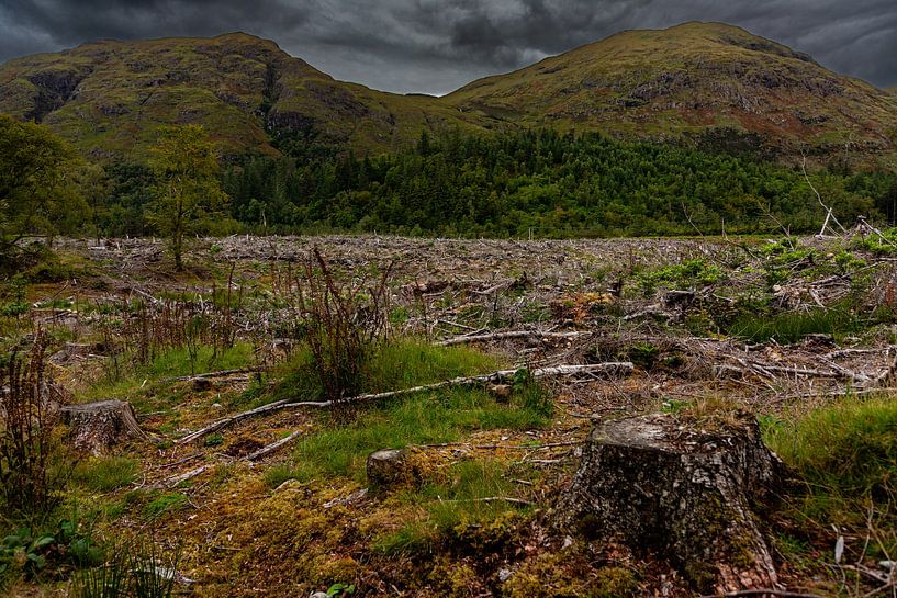 Schottlands erstaunliche Highlands von René Holtslag