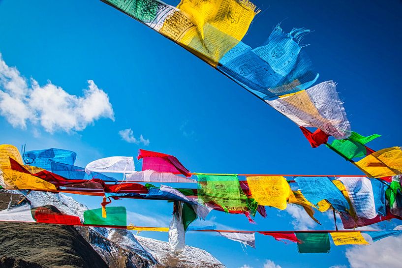 Wehende Gebetsfahnen auf dem tibetischen Plateau von Rietje Bulthuis