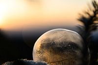 frozen bubble