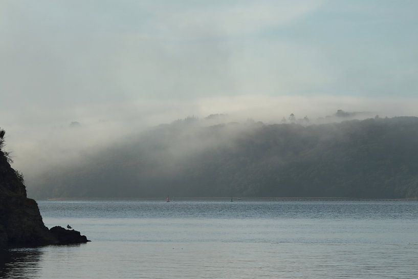 Veil morning fog by Swirling Entities