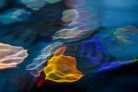 Ode an Swarovski im Wasser