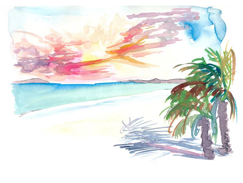 Martinique West Indies White Sand Beaches by Markus Bleichner