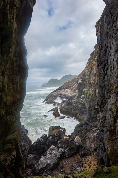 Seelöwen-Höhlen von Tashina van Zwam