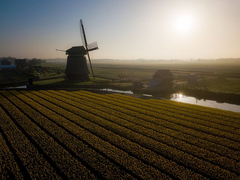 Goedemorgen vanuit Noord-Holland von K.C. Statia