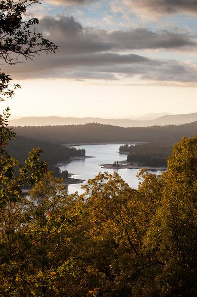 Bass-See von Wim Slootweg