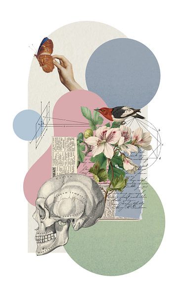 Memento Mori par Marja van den Hurk