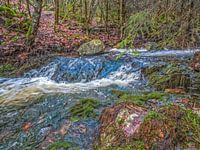 Flussabwärts inmitten der Natur