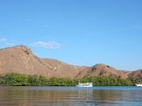Komodo Island, Indonesia