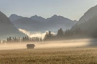 Brouillard matinal au Tyrol