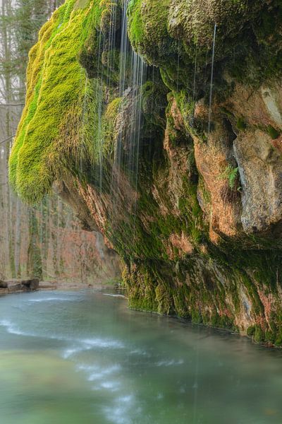 Rain van Jan Koppelaar Fotografie