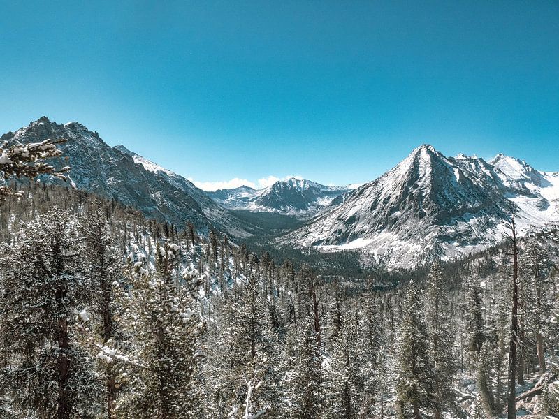 Montagnes enneigées avec de grands arbres par Marc van den Elzen