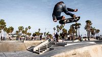 Venice beach skate park