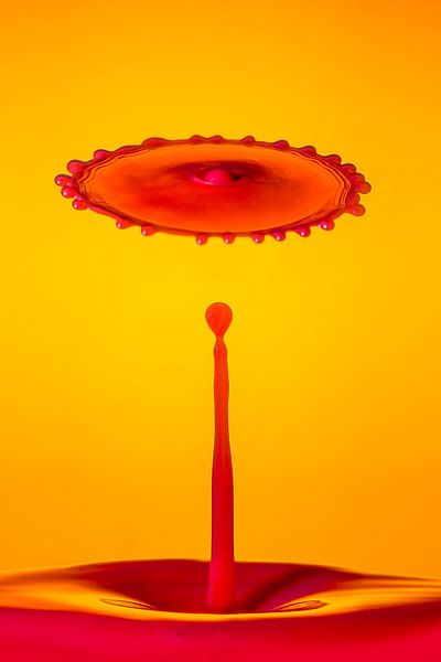 Oranje druppel splash (langwerpig) van Gig-Pic by Sander van den Berg