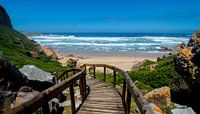Robberg nature reserve