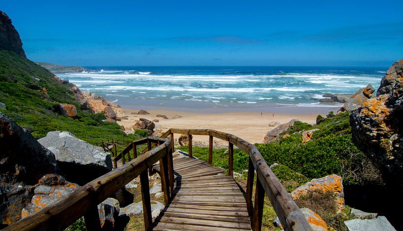 Robberg natuurreservaat van Filip Staes