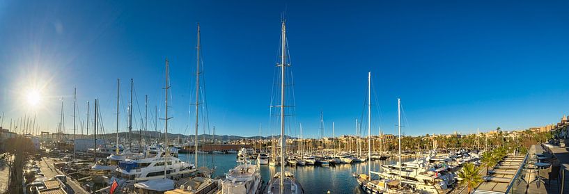 Vue panoramique du port de plaisance dans le centre ville de Palma de Majorque, Espagne par Alex Winter