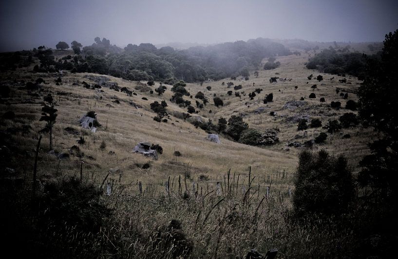 Neuseeland von Pim Michels