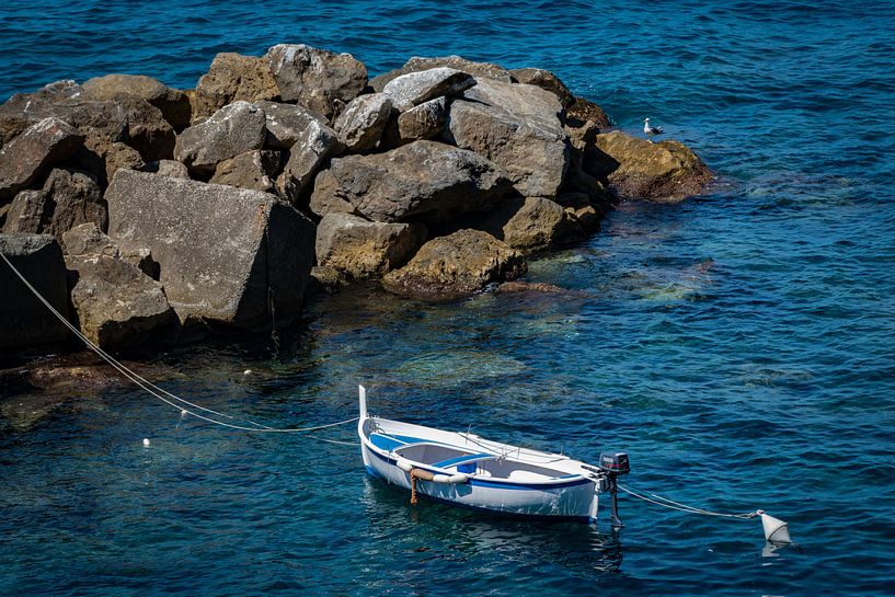 Boot von Bas Schneider
