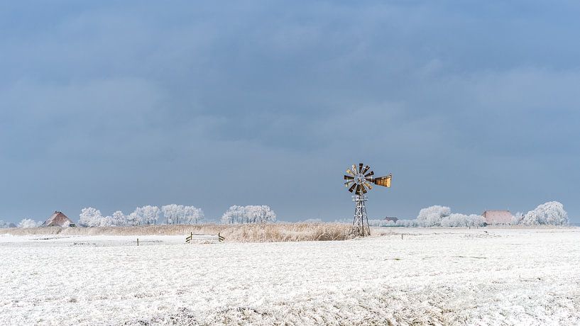 Alte Windmühle von Maarten Drupsteen