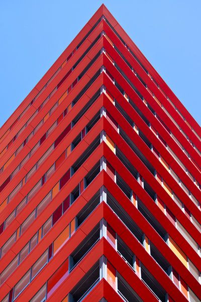 Calypso par Greetje van Son