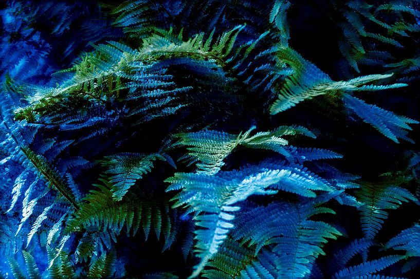 Varenbladeren von Diana Mets