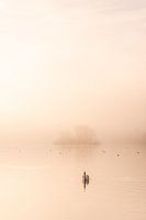 A morning at the Kralingse Plas