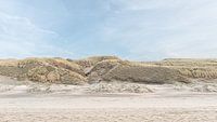 Beach and dunes at Castricum aan Zee 1
