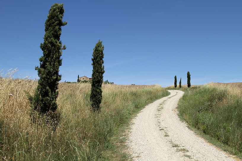 Tuscan landscape by Sander Miedema