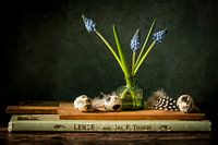 Spring still life with blue grapes