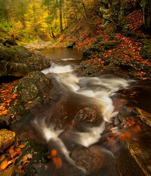 Herbst am Fluss Getzbach im Hochmoor der Ardennen. von Jos Pannekoek