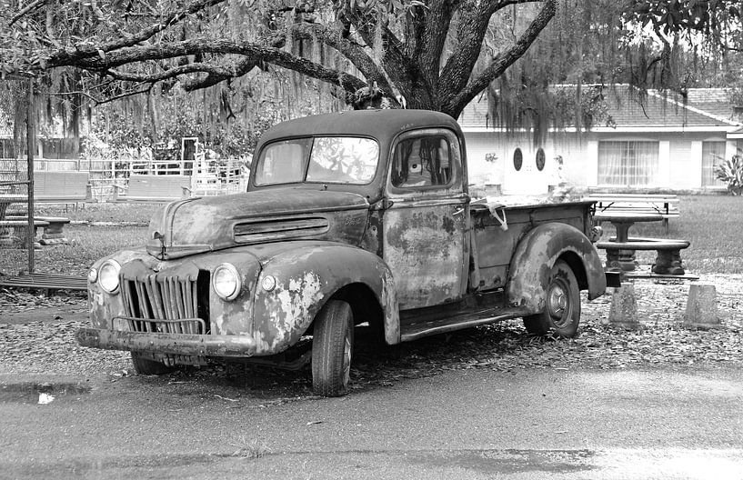 Camionnette Ford par Willem van Holten