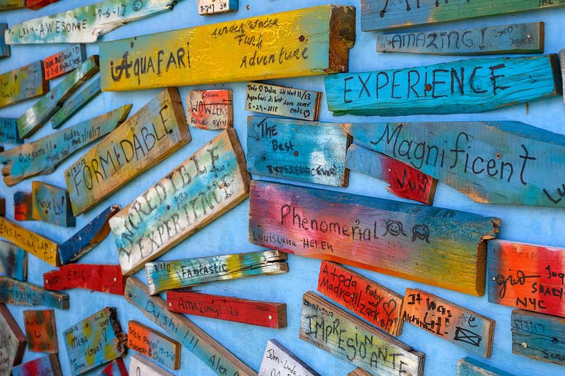 Glücklich von Ellinor Creation