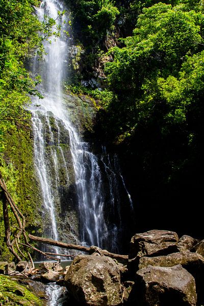 Wasserfall auf Maui von Dirk Rüter