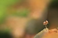 Ne jamais être seul