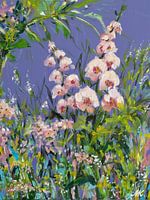 Fleurs - Symphonie de fleurs d'été