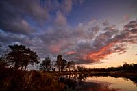 Torreven mariahout sunset